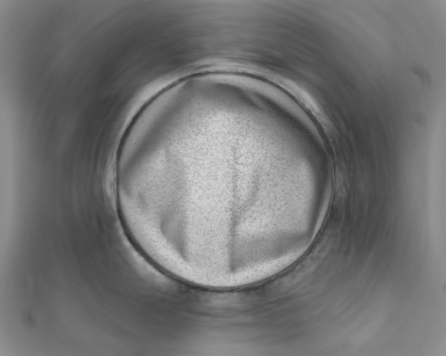 X0000112081247200908251057