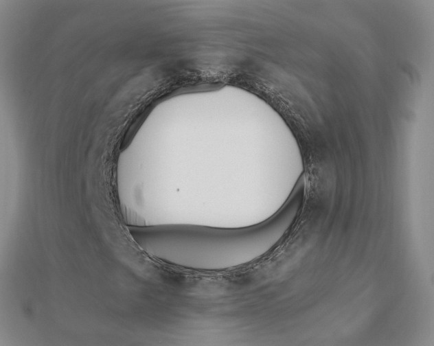 X0000112081249200908251056