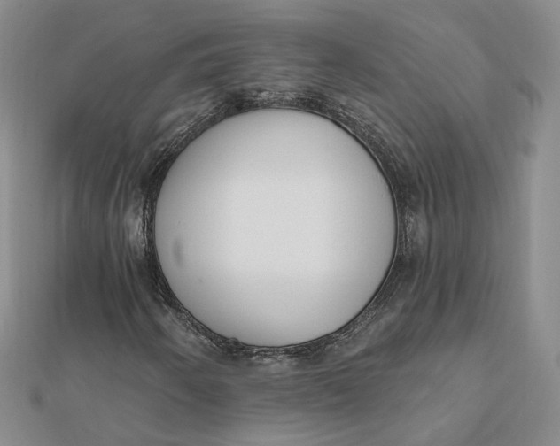 X0000112081250200908251056