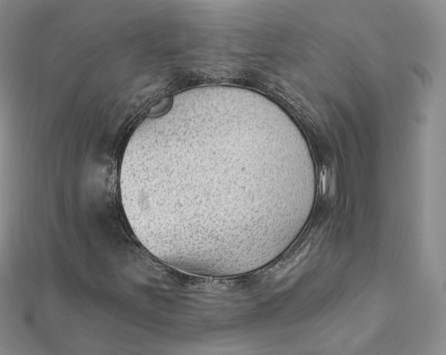 X0000112081251200908251056