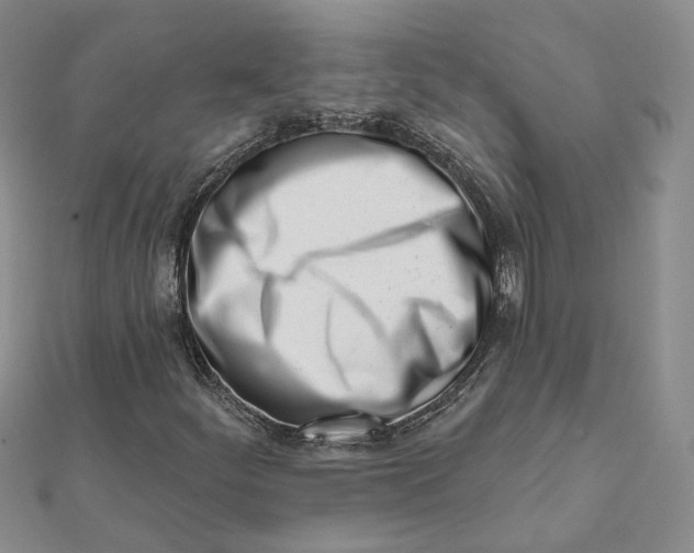 X0000112081252200908251056