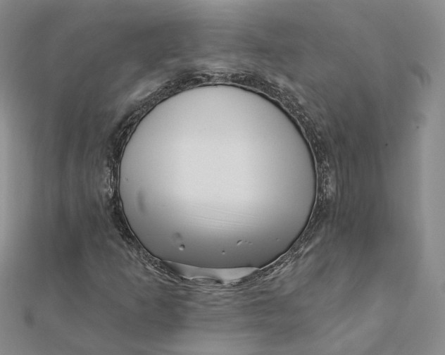 X0000112081253200908251056