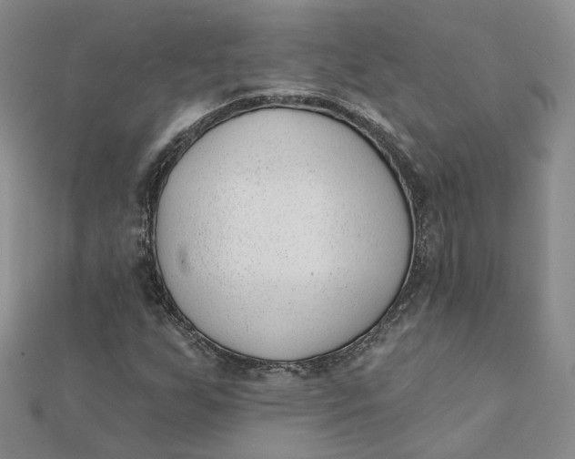 X0000112081255200908251056