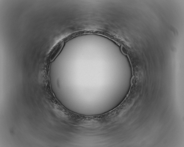 X0000112081256200908251056