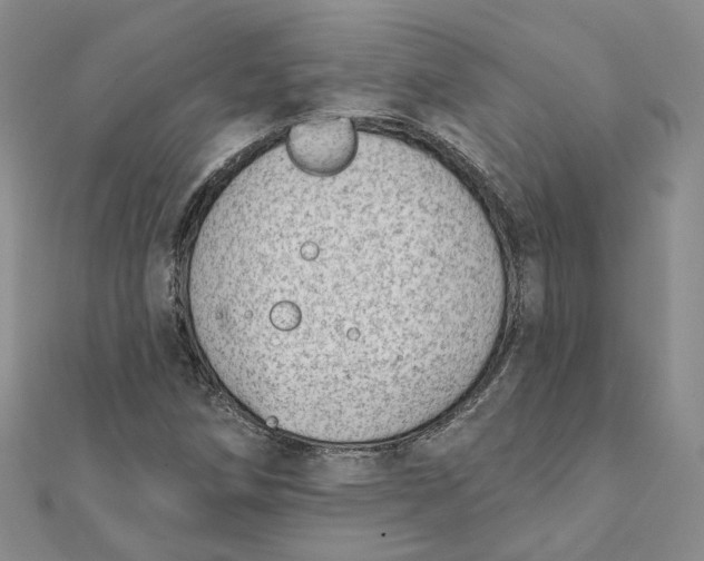 X0000112081258200908251056