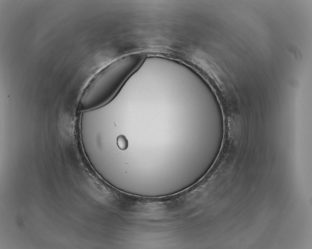 X0000112081260200908251056