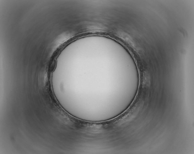 X0000112081261200908251056