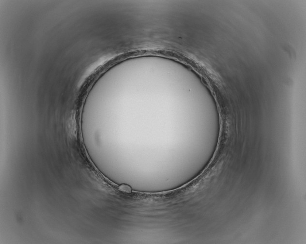 X0000112081262200908251056