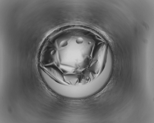 X0000112081264200908251056