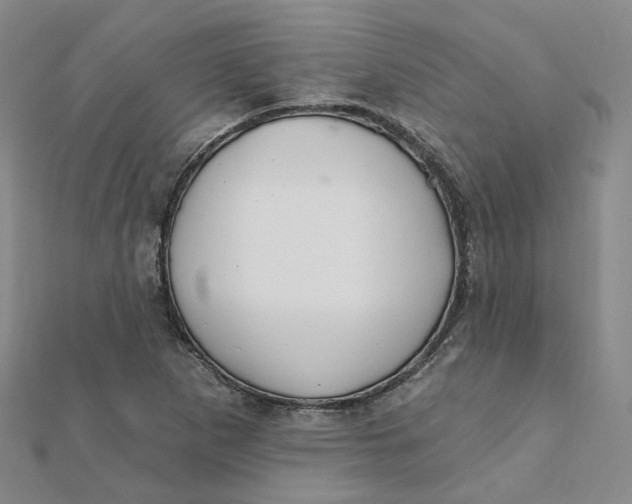 X0000112081265200908251056