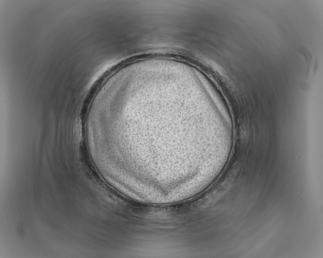 X0000112081267200908251056