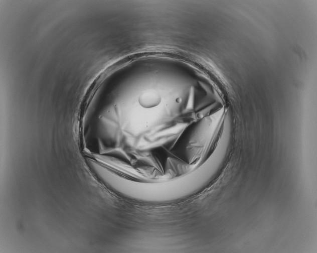 X0000112081268200908251056