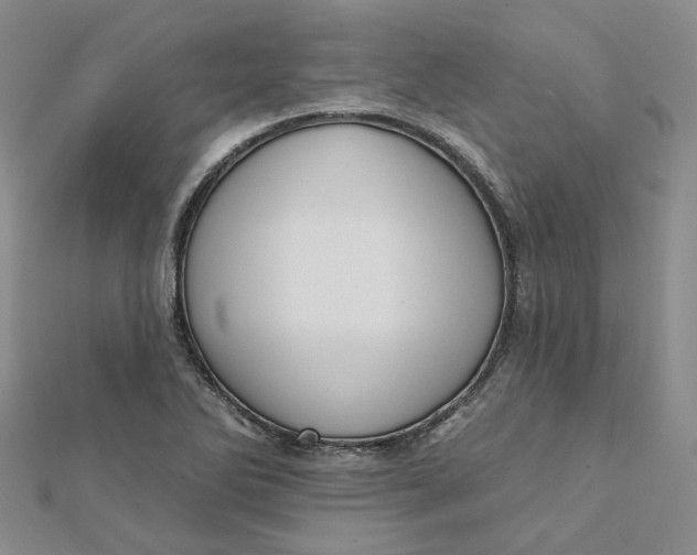 X0000112081270200908251056