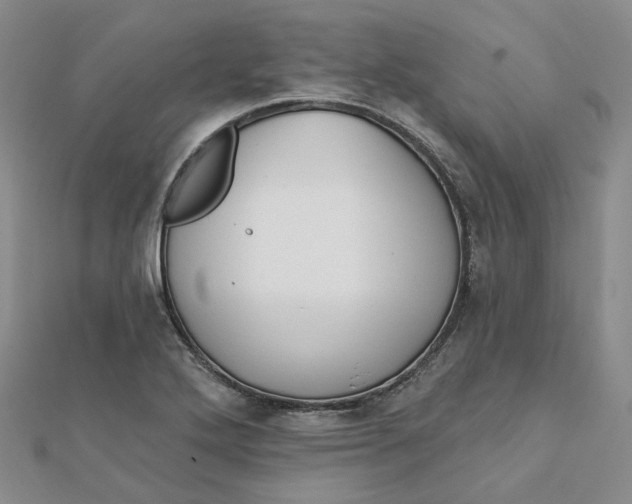 X0000112081272200908251056