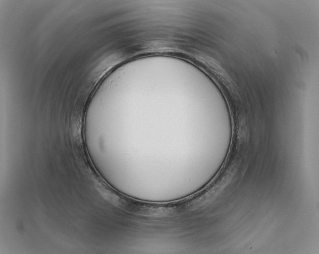 X0000112081273200908251056