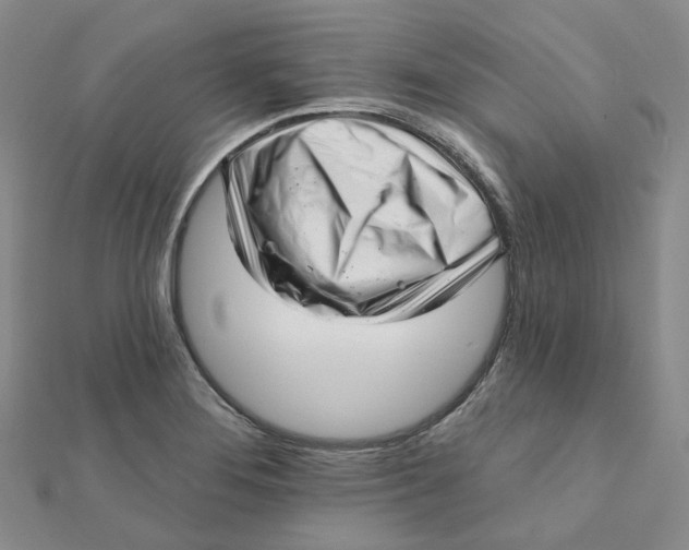 X0000112081276200908251056