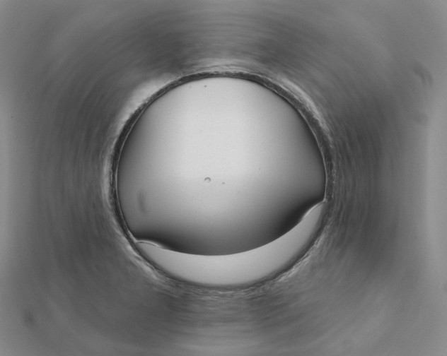 X0000112081277200908251056