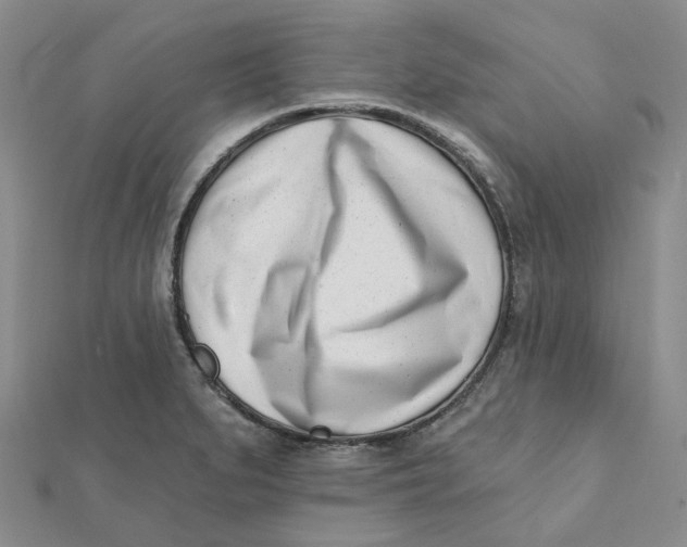 X0000112081279200908251056