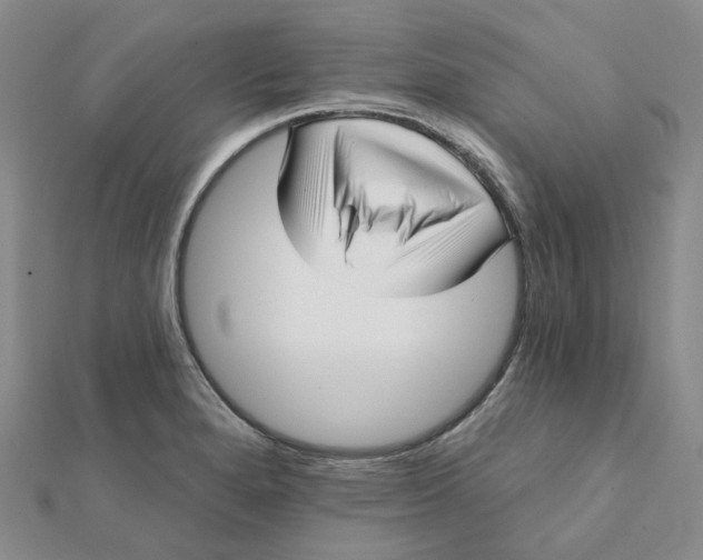 X0000112081280200908251056