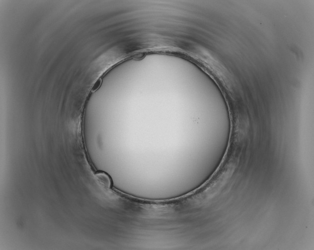 X0000112081281200908251056