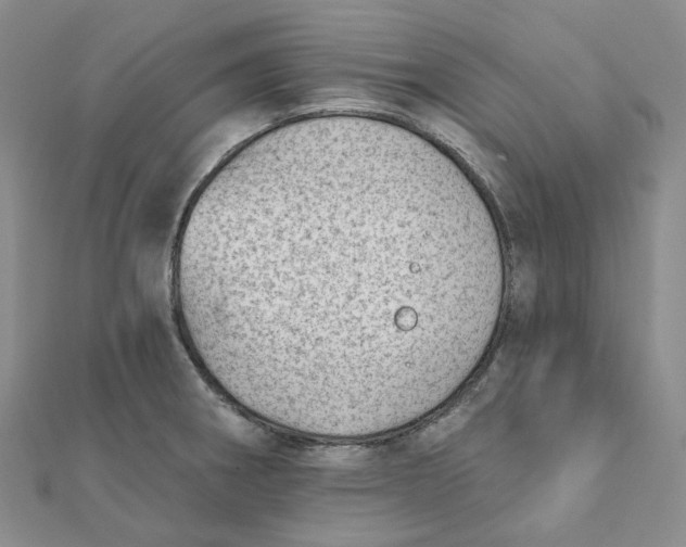 X0000112081282200908251056