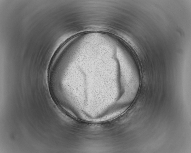 X0000112081283200908251056