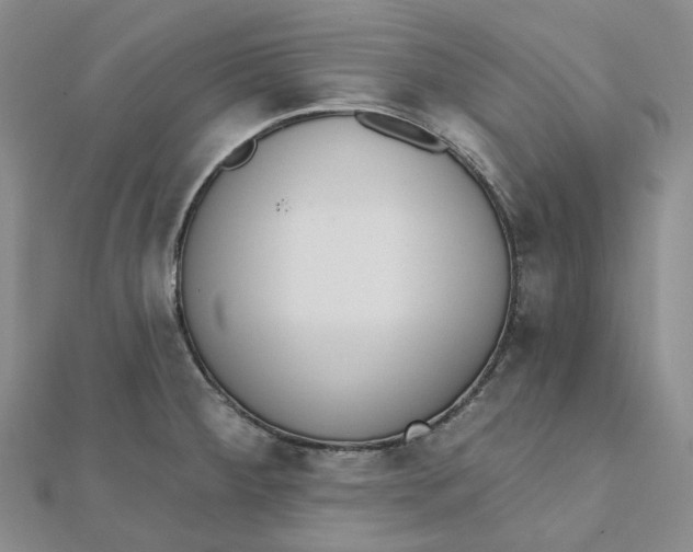 X0000112081284200908251056