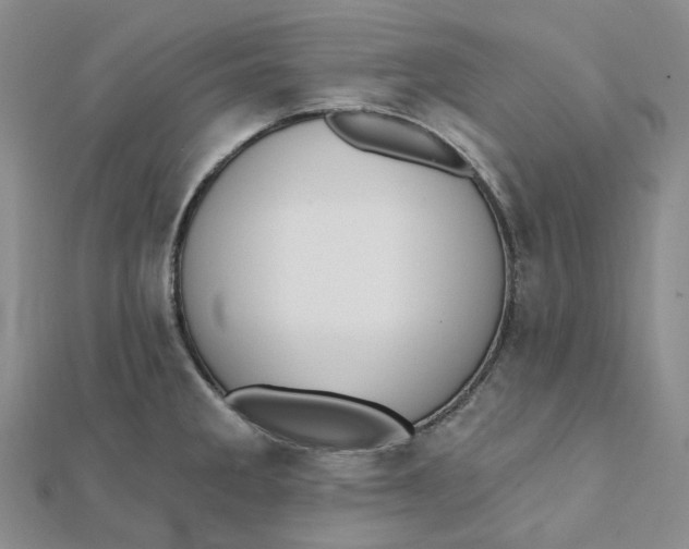 X0000112081285200908251056