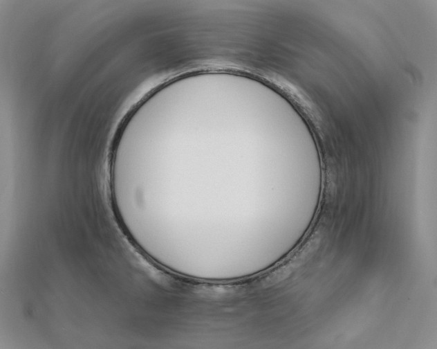 X0000112081286200908251056