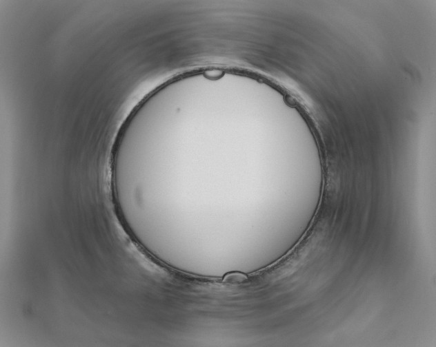 X0000112081287200908251056