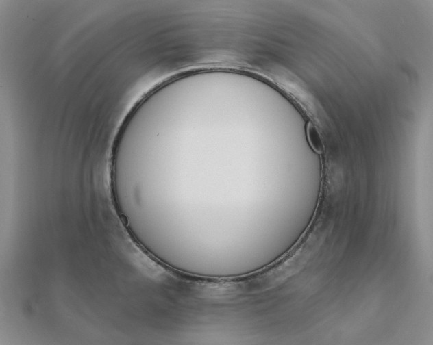 X0000112081288200908251056