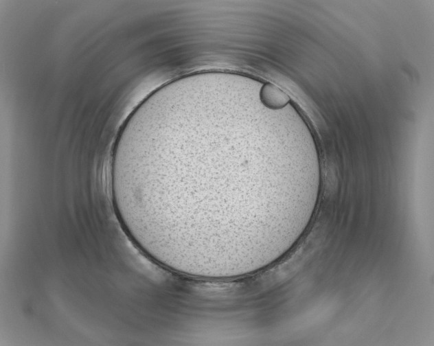 X0000112081290200908251056