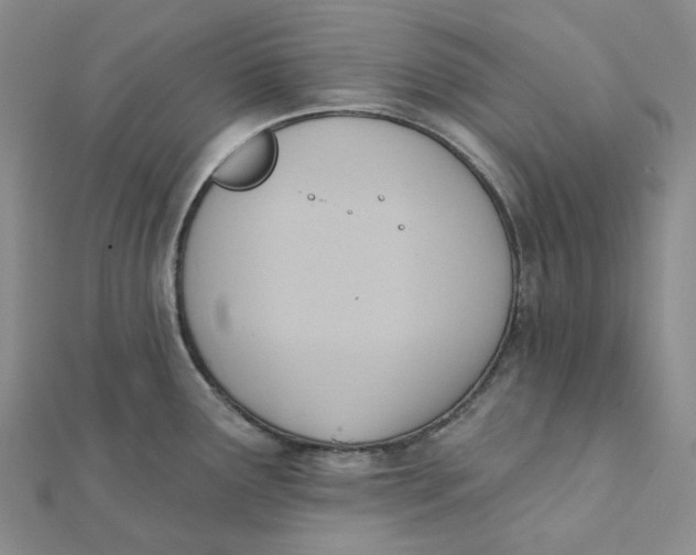 X0000112081291200908251056