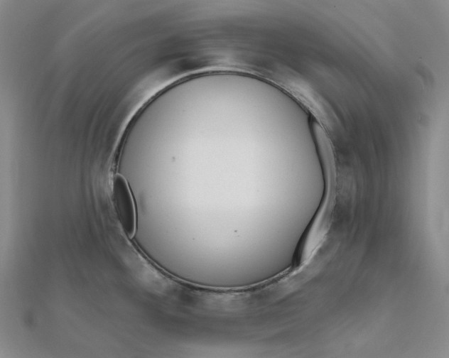 X0000112081292200908251056