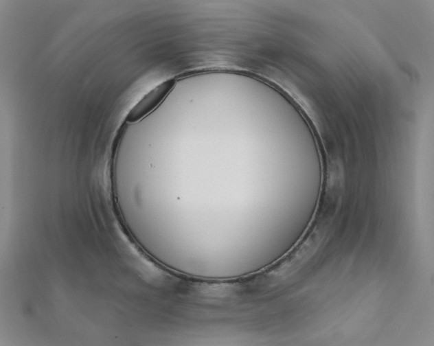 X0000112081293200908251056