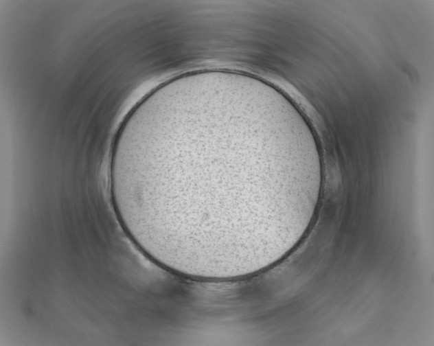 X0000112081294200908251056