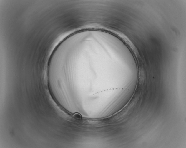 X0000112081295200908251056