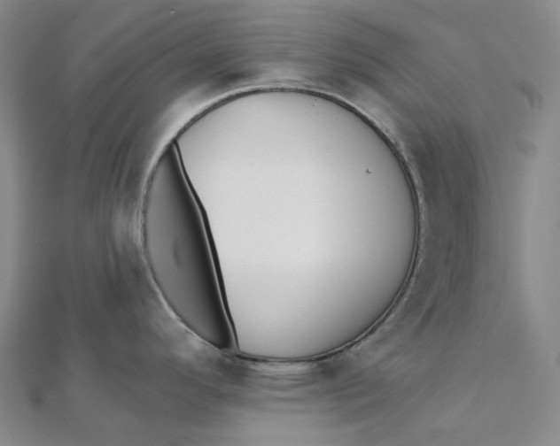 X0000112081296200908251056