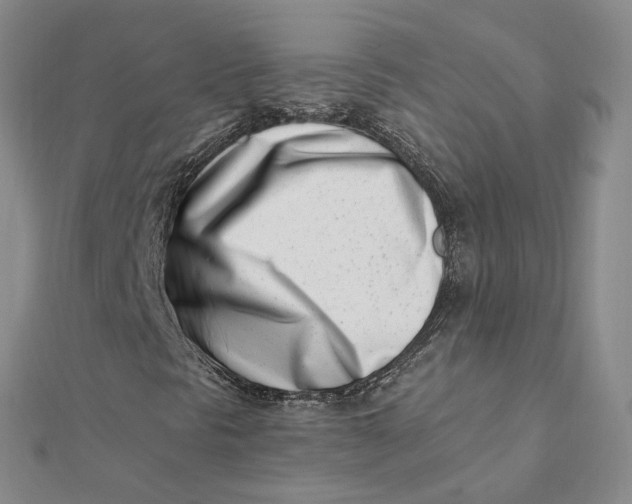 X0000112081297200908251055