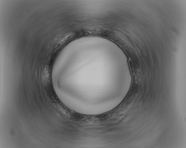 X0000112081298200908251055