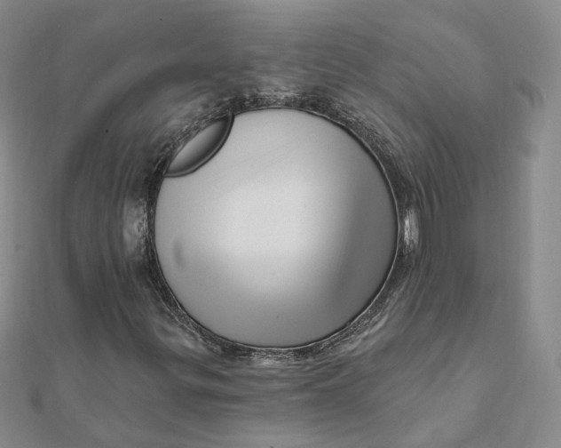 X0000112081299200908251055