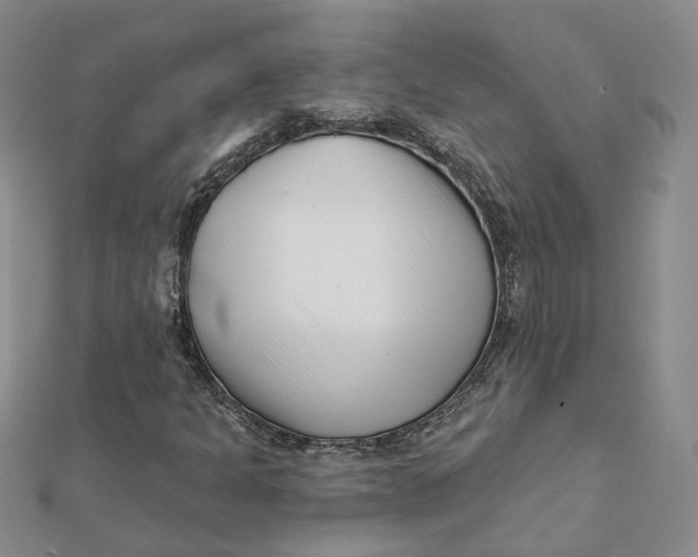 X0000112081301200908251055