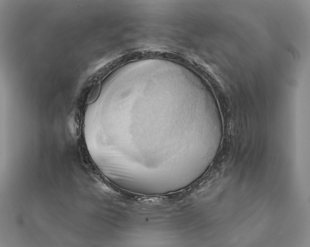 X0000112081303200908251055