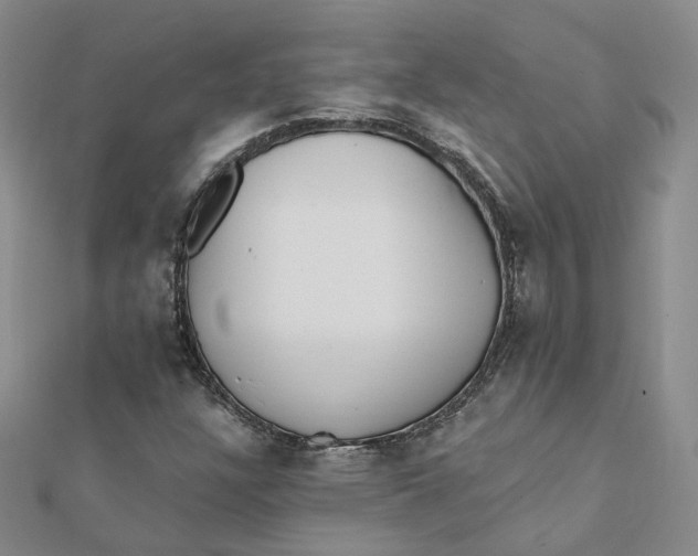 X0000112081304200908251055