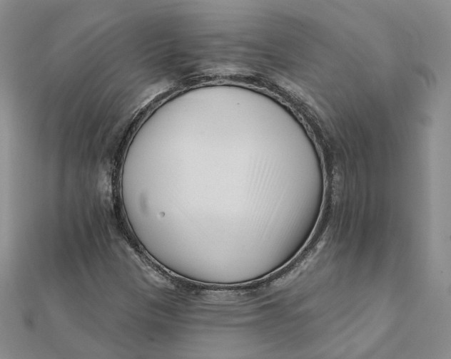 X0000112081305200908251055