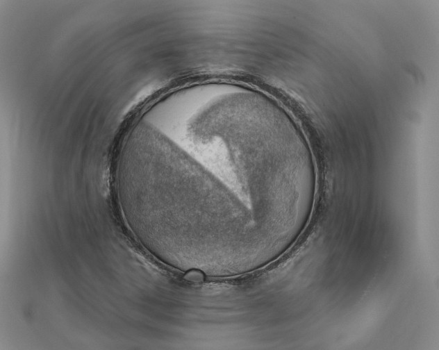 X0000112081306200908251055