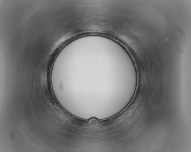 X0000112081307200908251055