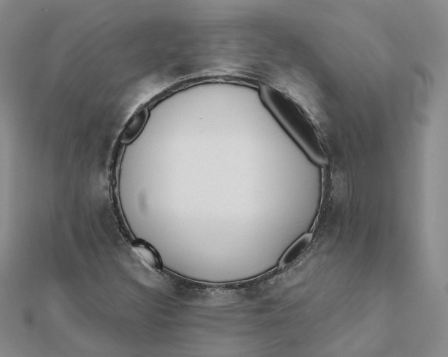 X0000112081308200908251055