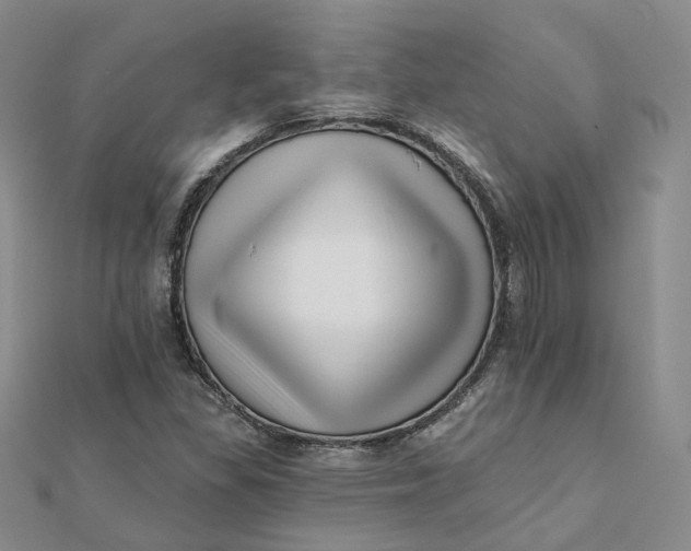 X0000112081309200908251055