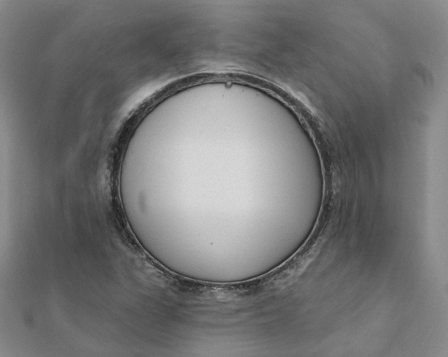 X0000112081311200908251055